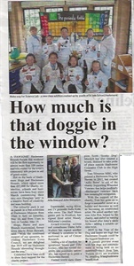 How Much Is That Doggie in the Window