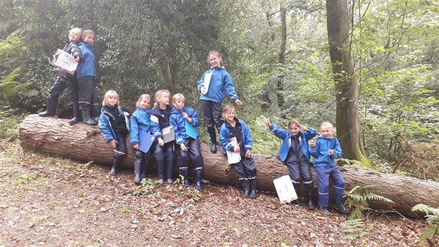 Year 3 went on an Autumn treasure hunt this week in Forest School.