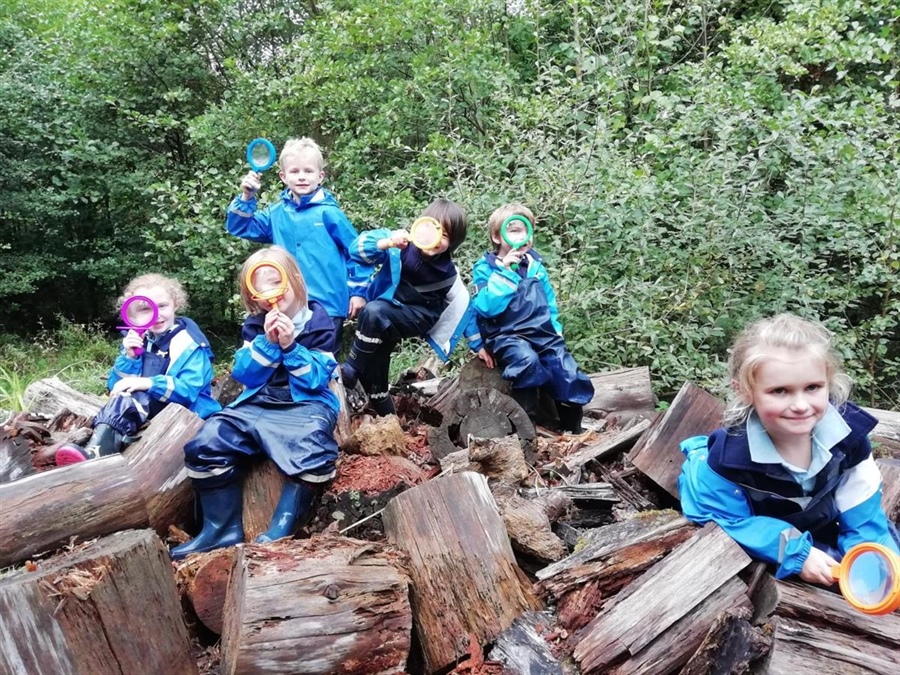 Year 1 and 2 Forest School