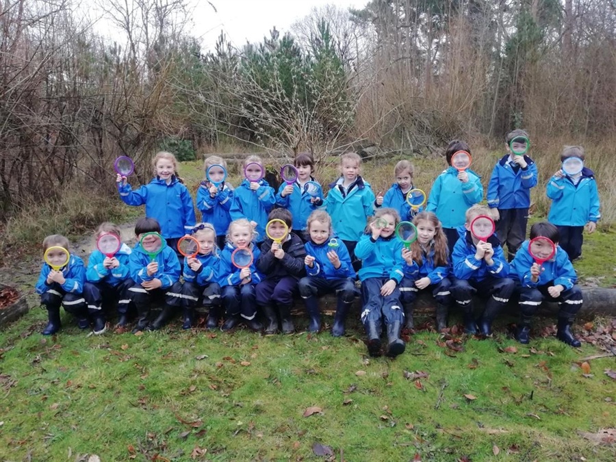 New Equipment for Forest School