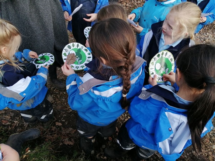 Year 1 and 2 Forest School