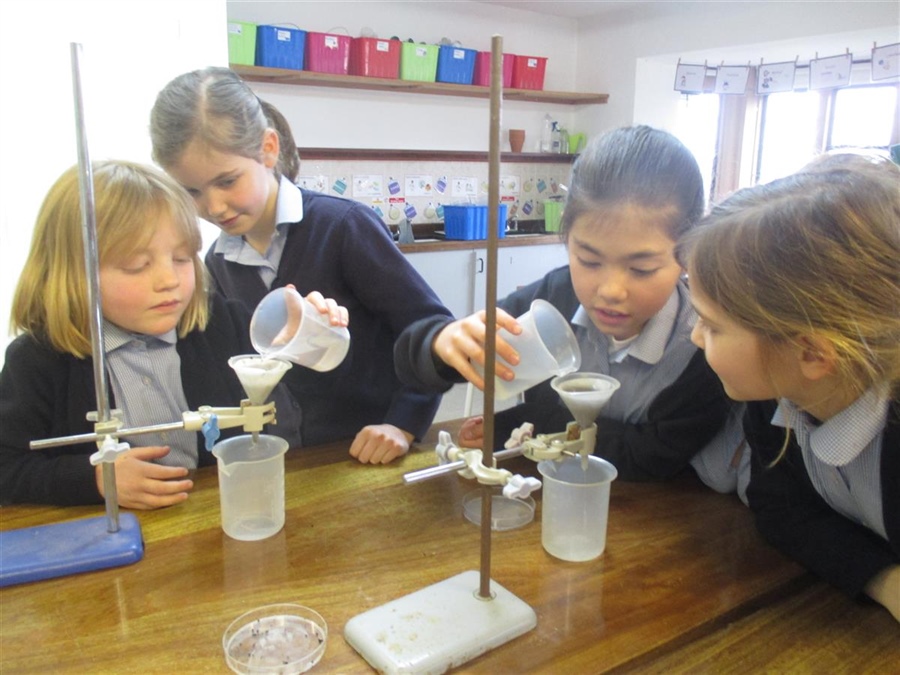 Year 3 Investigates Soil