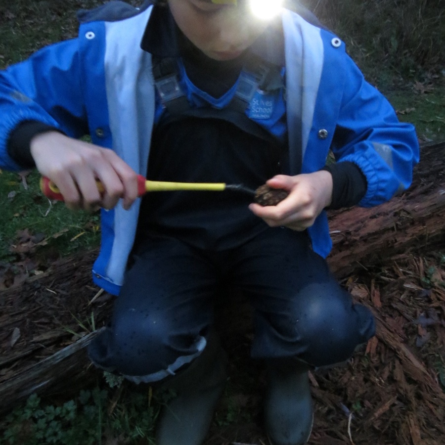 Forest School Club