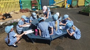 Maths in the sunshine