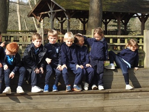 year 1 Visit to Painshill Park