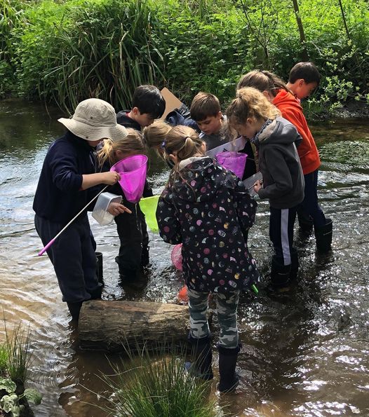 Year 3 Geography Field Trip