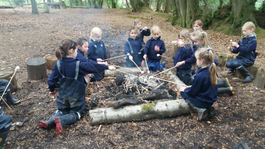 Toasting marshmallows in Forest School