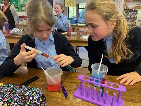 Year 6 Science