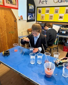 Year 6 STEM Lesson