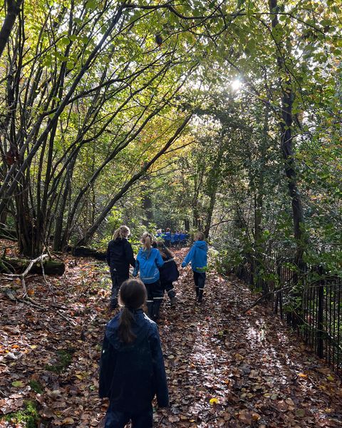 Year 3 Forest School