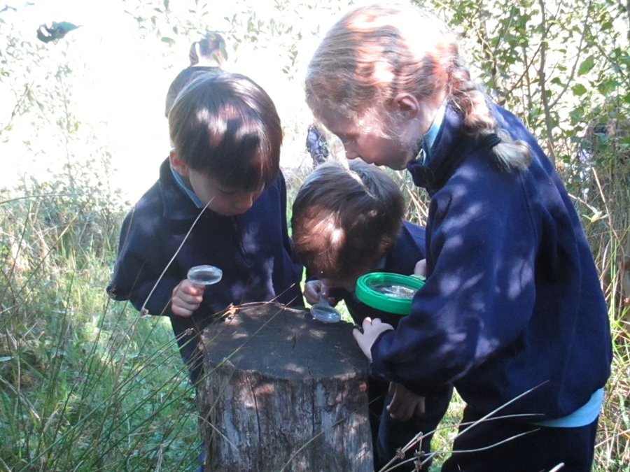 year 1 & 2 Forest School