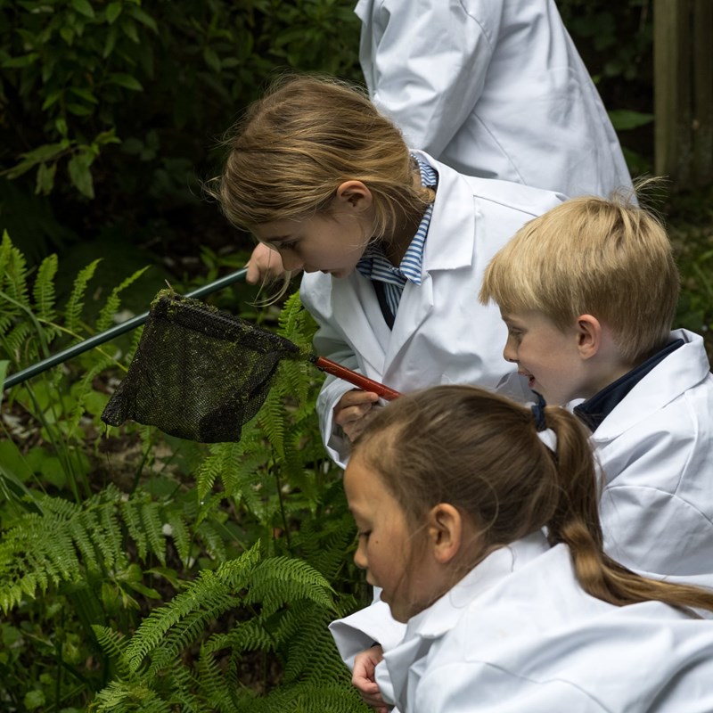 STEM at St Ives School